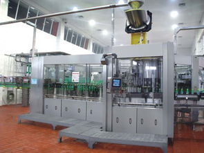 蘭州和田食品包裝機械購買指南 尋找高性價比設備